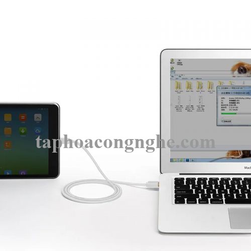 Ugreen 30168 3M Dây USB 2.0 sang Type-C truyền dữ liệu và sạc US141 30030168